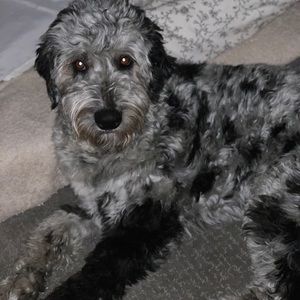 Meet your Posher, Jill